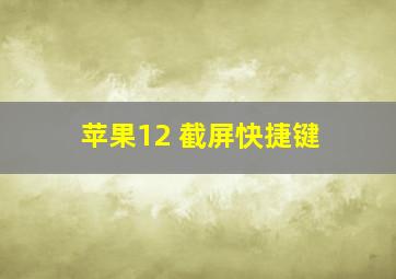 苹果12 截屏快捷键